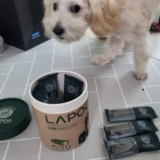 댑빵이님이 올린 리뷰 사진 1
