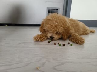 처리미님이 올린 리뷰 사진 2