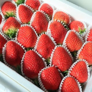 옳음 딸기 논산 설향 딸기 900g 산지직송 — 5점을 준 리뷰어가 2021년 2월 올린 사용 사진