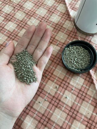 정정님이 올린 리뷰 사진 3