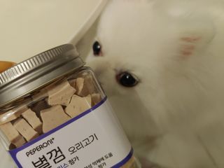 치르치르님이 올린 리뷰 사진 2