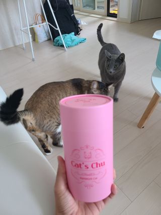 페페로니 잘 먹는 캣츄 - 알래스카 연어 24개입 — 5점을 준 리뷰어가 2021년 7월 올린 사용 사진