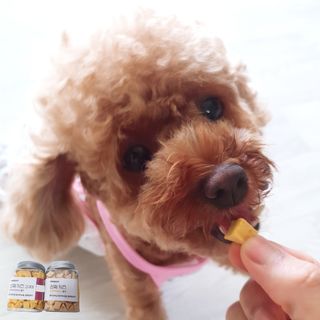 페페로니 진짜 프리바이오틱스 치즈+치즈고구마 180g+180g — 5점을 준 리뷰어가 2021년 7월 올린 사용 사진