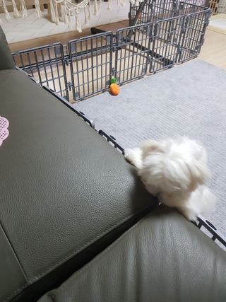 곽현정님이 올린 리뷰 사진 3