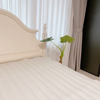 숑이님이 올린 리뷰 사진 1