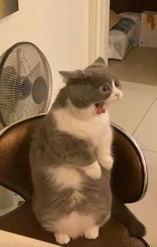 소뉴님이 올린 리뷰 사진 1