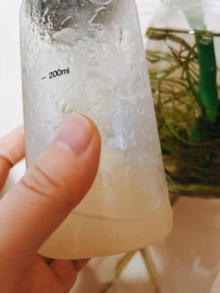 슬림플래닛 차전자피 식이섬유 이지아웃 — 5점을 준 리뷰어가 2021년 9월 올린 사용 사진