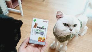 ㅎㅎ쩡님이 올린 리뷰 사진 1