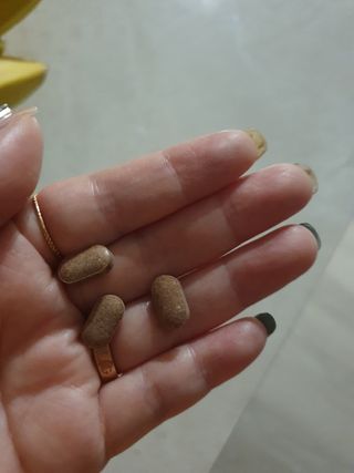 슬림플래닛 녹차카테킨 500mg 애프터밀 — 5점을 준 리뷰어가 2021년 9월 올린 사용 사진