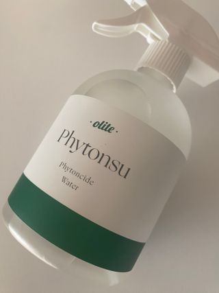 원공주👑님이 올린 리뷰 사진 2