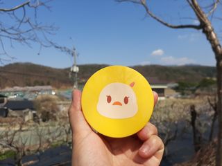 보물사랑님이 올린 리뷰 사진 1