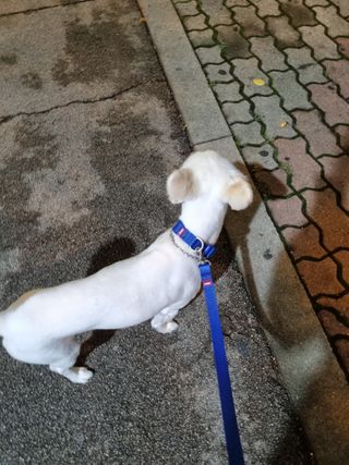 강이님이 올린 리뷰 사진 2