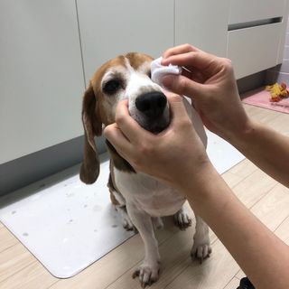 동희님이 올린 리뷰 사진 3