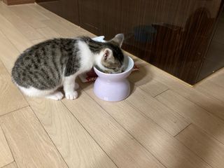 미혜님이 올린 리뷰 사진 3