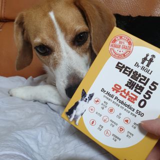 beaglelove님이 올린 리뷰 사진 1