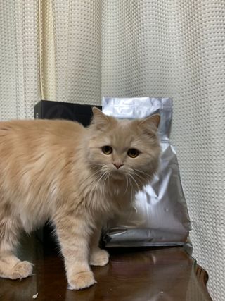 이슈우님이 올린 리뷰 사진 2