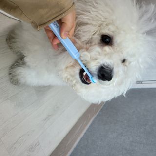 나리니님이 올린 리뷰 사진 2