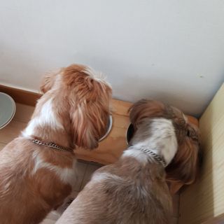 베베츄님이 올린 리뷰 사진 3