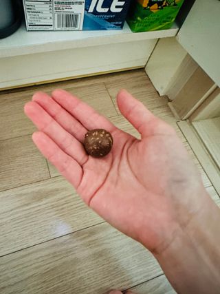 댕댕이님이 올린 리뷰 사진 1