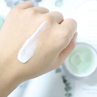 신향님이 올린 리뷰 사진 2