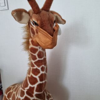 기린짱맘님이 올린 리뷰 사진 2