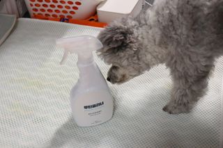 이설님이 올린 리뷰 사진 3