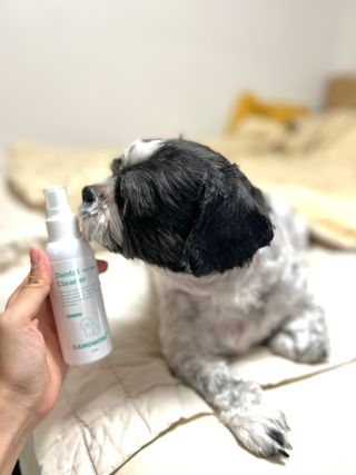 [댕모어 클리너 3종] 아이클리너 / 이어클리너 / 덴탈클리너 3종 세트 (120ml) — 5점을 준 리뷰어가 2023년 9월 올린 사용 사진