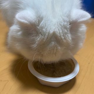 하루님이 올린 리뷰 사진 4