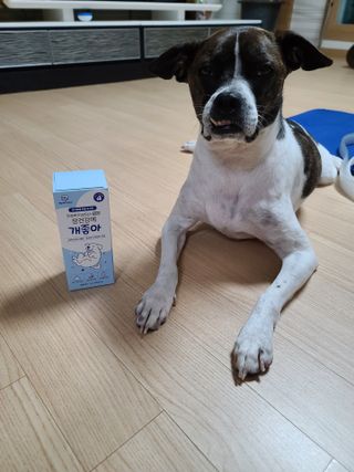 옹동타니님이 올린 리뷰 사진 3