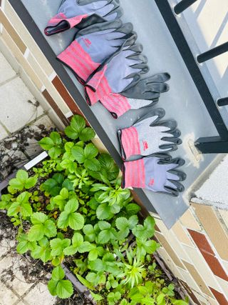 여닝님이 올린 리뷰 사진 4