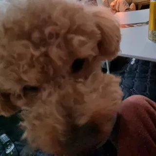 기린짱맘님이 올린 리뷰 사진 4