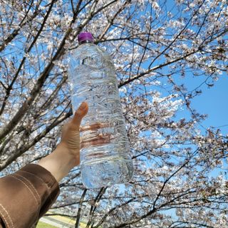 리캘님이 올린 리뷰 사진 2