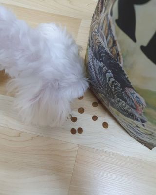 뿌꾸님이 올린 리뷰 사진 2