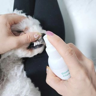 [댕모어 클리너 3종] 아이클리너 / 이어클리너 / 덴탈클리너 3종 세트 (120ml) — 4.5점을 준 리뷰어가 2023년 11월 올린 사용 사진