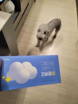 SNS 갓비움 — 5점을 준 리뷰어가 2023년 3월 올린 사용 사진