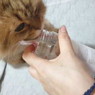 옹알이님이 올린 리뷰 사진 1