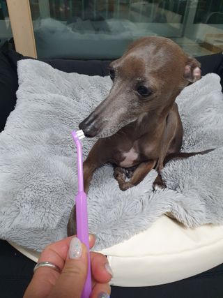 잭슨쓰님이 올린 리뷰 사진 3