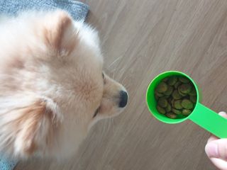 쪼로리님이 올린 리뷰 사진 3