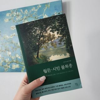 강엄마님이 올린 리뷰 사진 2