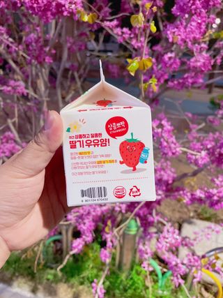 삐딱한펭귄님이 올린 리뷰 사진 2