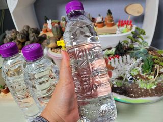 몽베스트 [MONTBEST]위드어스 500mL 20병 — 5점을 준 리뷰어가 2022년 6월 올린 사용 사진