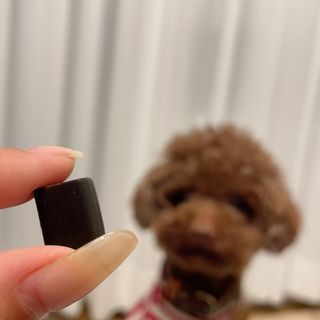 프롬님이 올린 리뷰 사진 2