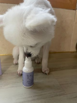 콩이예요님이 올린 리뷰 사진 3