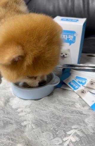 뽀야니님이 올린 리뷰 사진 4