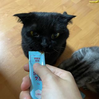 뿌엥꾸엥님이 올린 리뷰 사진 3