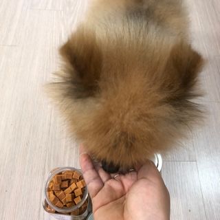 페페로니 진짜 오메가3 연어+소고기 180g+180g — 4.5점을 준 리뷰어가 2021년 7월 올린 사용 사진