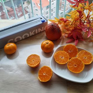 열살터울님이 올린 리뷰 사진 1