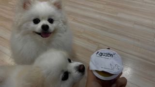 EunJin님이 올린 리뷰 사진 2