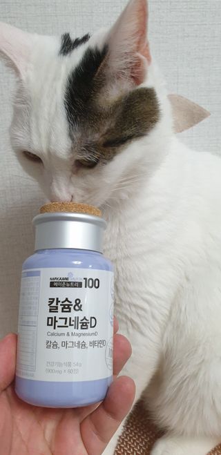 메이준뉴트리 칼슘,마그네슘D — 5점을 준 리뷰어가 2021년 6월 올린 사용 사진