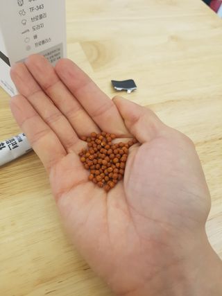 [푸름웰니스] 부아메라 프로폴리스 도라지 호흡편환 20포 — 5점을 준 리뷰어가 2021년 12월 올린 사용 사진